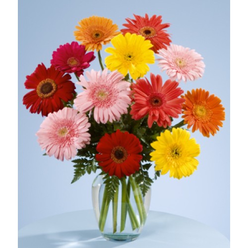 Gerberas Vase